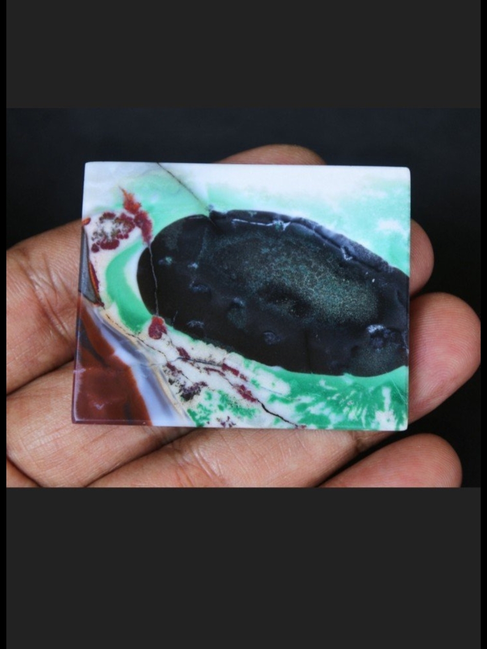 Spectacular Indonesian Opalized Wood